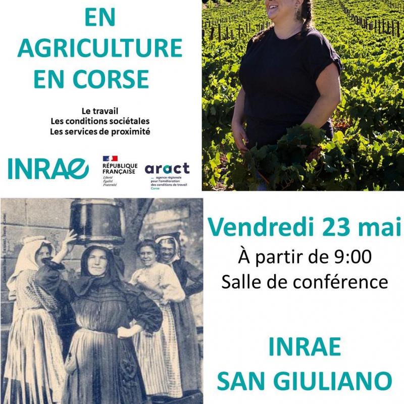 L'Avenir des Femmes en Agriculture Corse